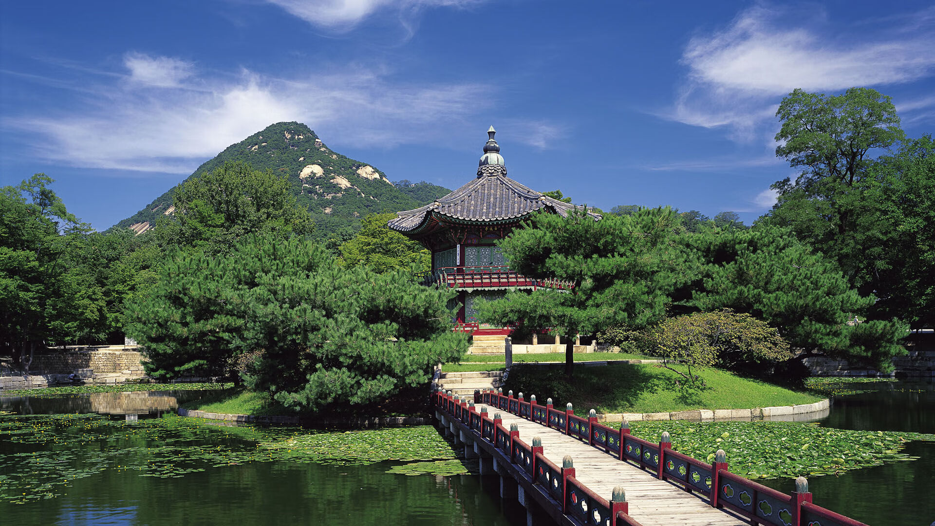 世界体操团体赛冠军队员参与国内公益巡讲，世界体操冠军名单